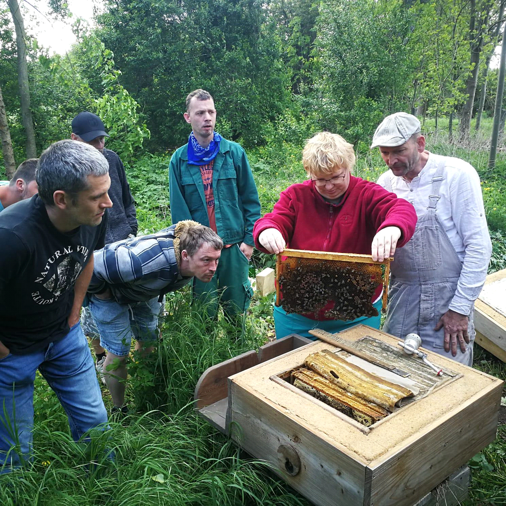 Ein Ausflug in die faszinierende Welt der Bienen