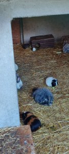 Gemeinsam im Tierpark