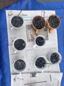 Selbst gemachtes Vogelfutter für unseren Garten