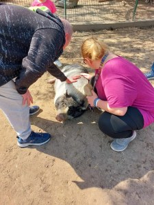 Tierpark Stendal
