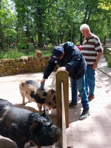 Ein erlebnisreicher Tag im Tierpark Bierer Berg