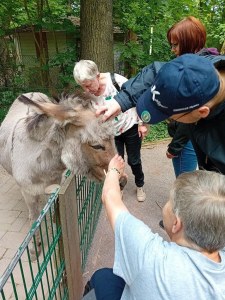 Ein erlebnisreicher Tag im Tierpark Bierer Berg