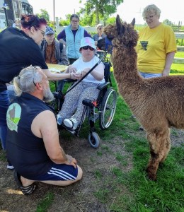 🦙️ Ein wunderschöner Vormittag auf der Alpaka Ranch in Berge 💛