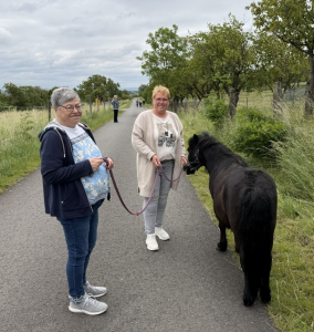Bauernhof-Urlaub in Witterda einiger Bewohnerinnen und Bewohner aus unserem Wohnheim in Mieste