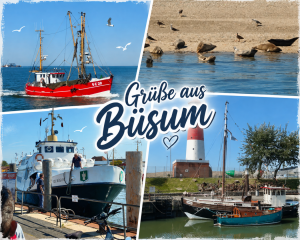 🌊 Moin aus Friedrichstadt!